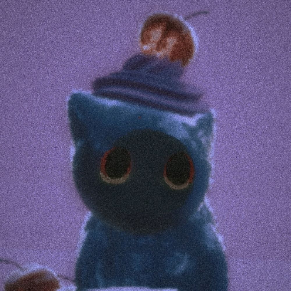 dmvcn