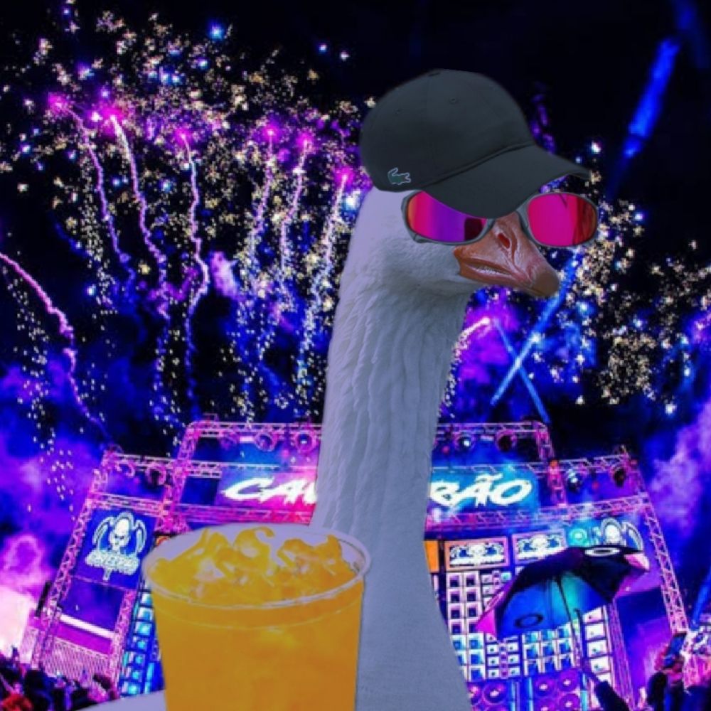 🪿
