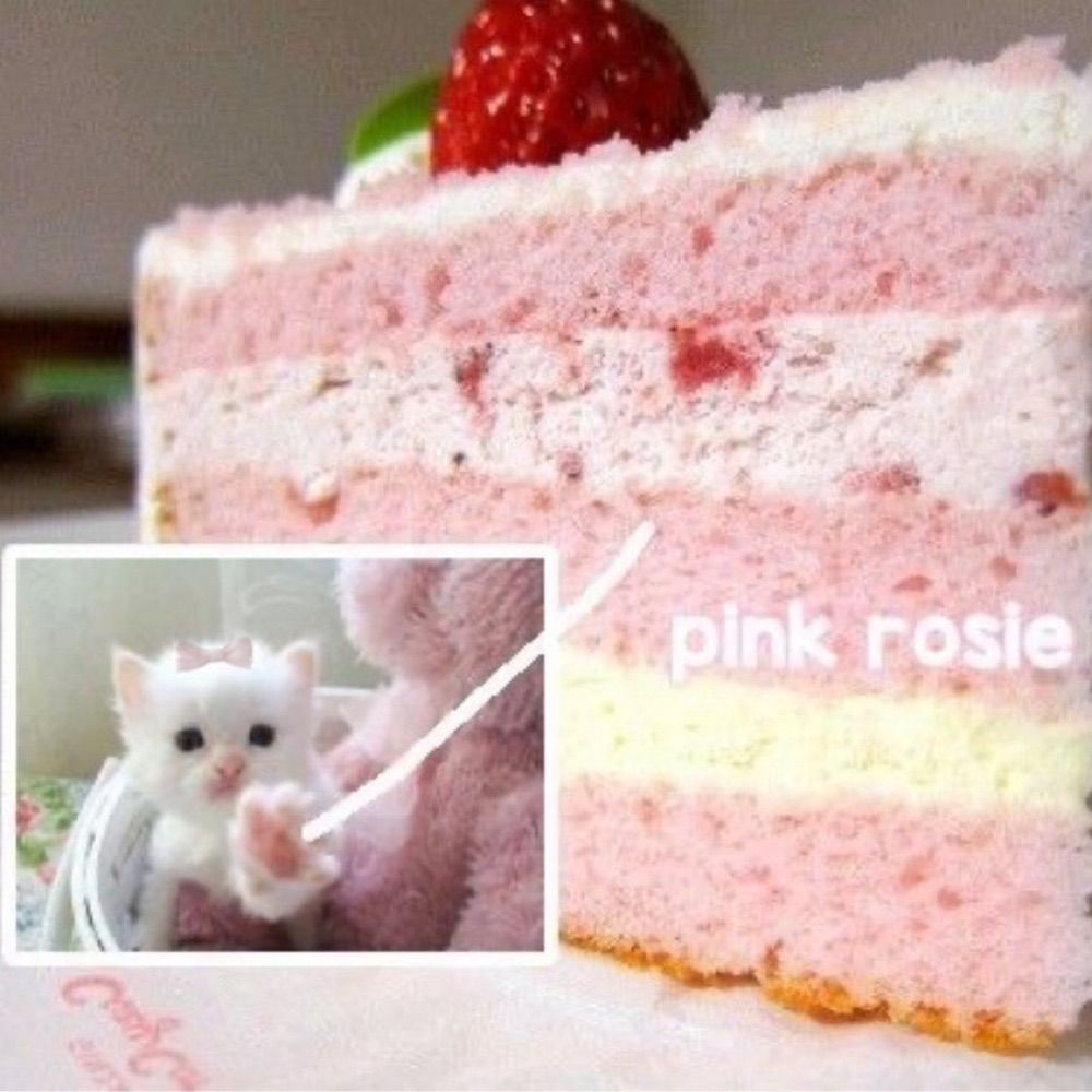 So’ 🍓🍰