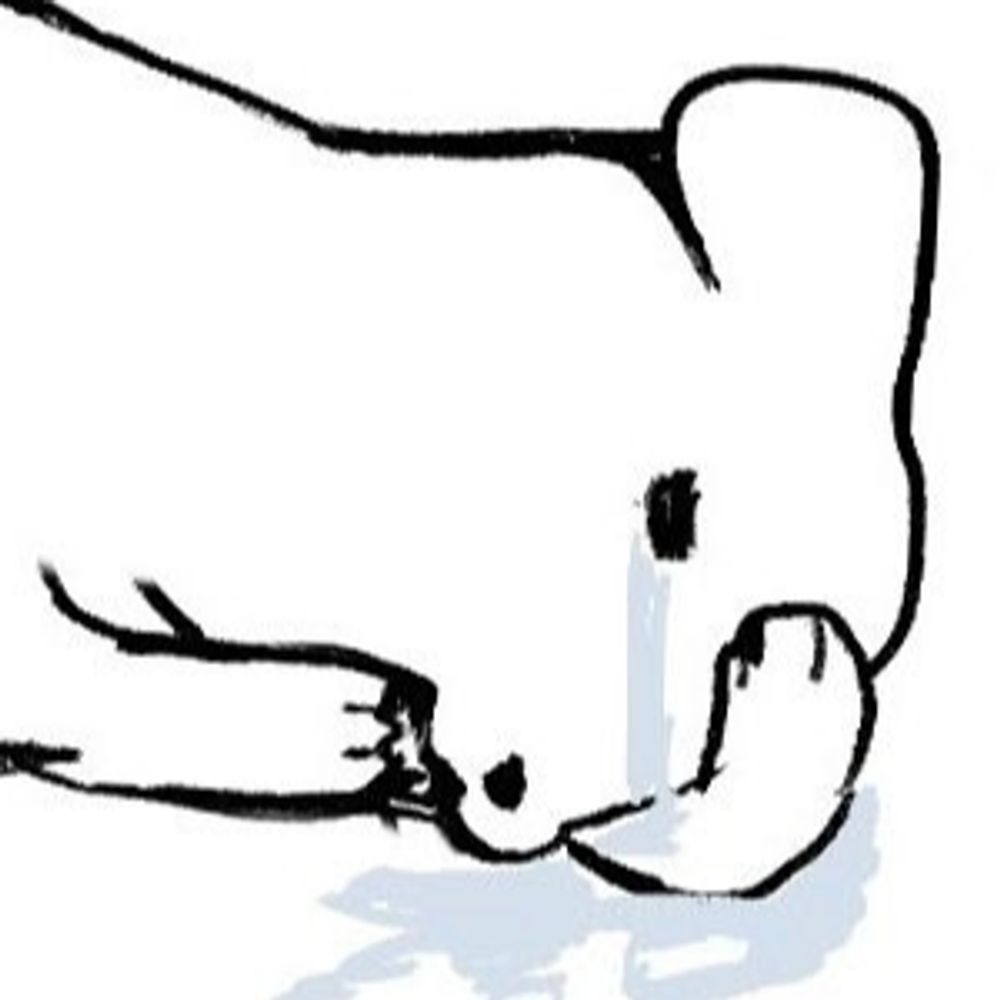 ㄹㅃ
