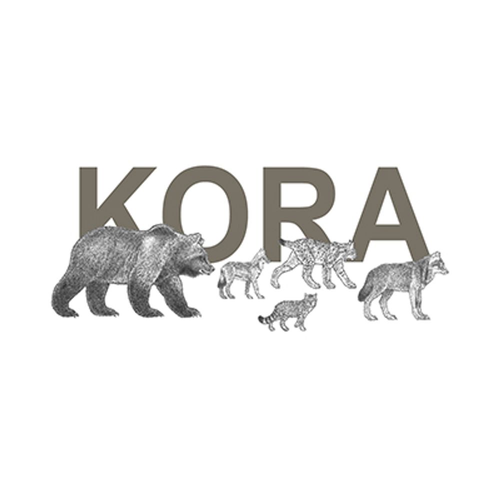 Stiftung KORA 