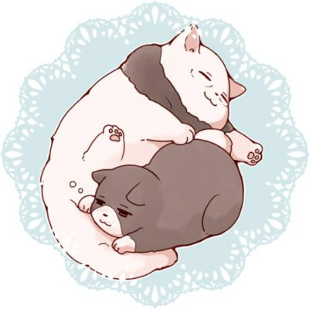 ミキ