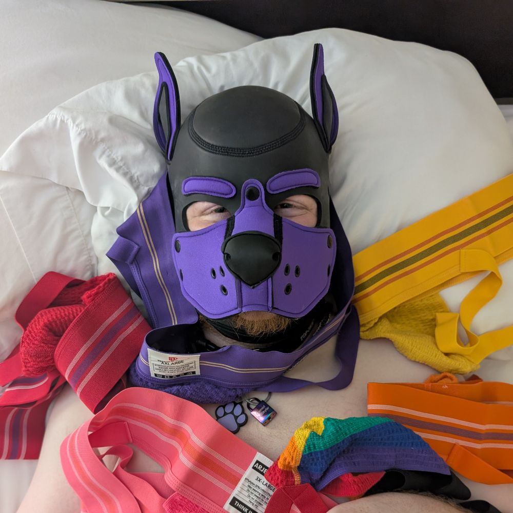 Lil Pup Nova