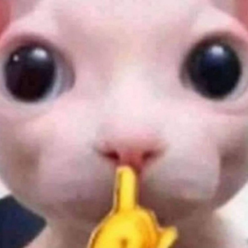 pra dizer tudo sem precisar dizer nada