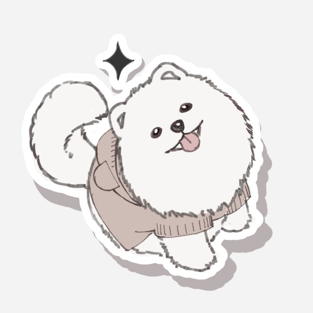 샷