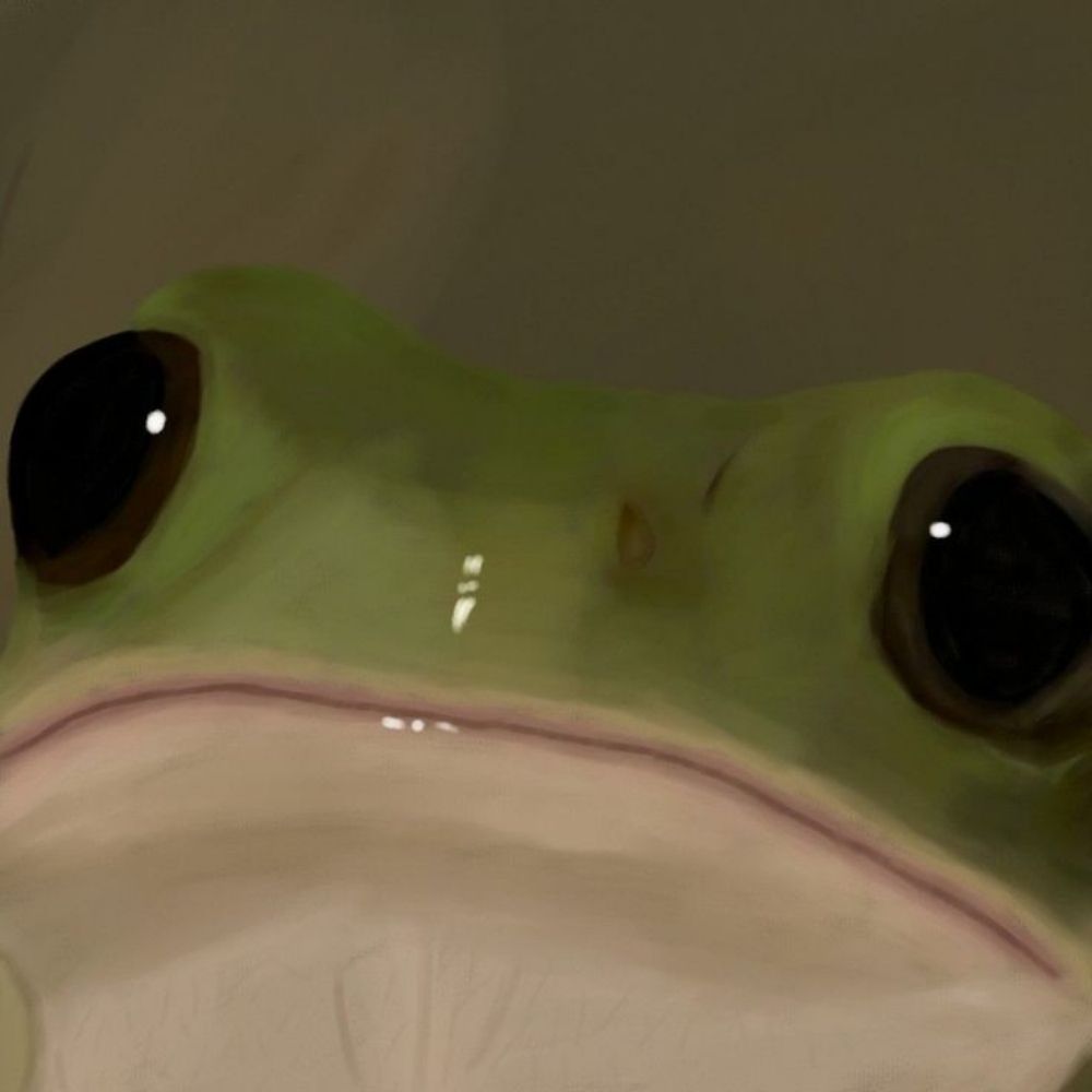 Lulu 🐸