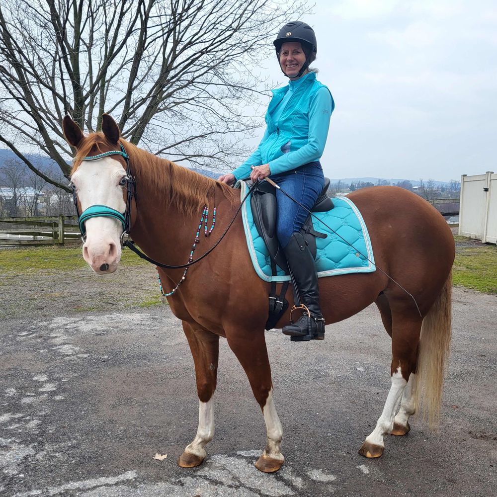 horseyrobin