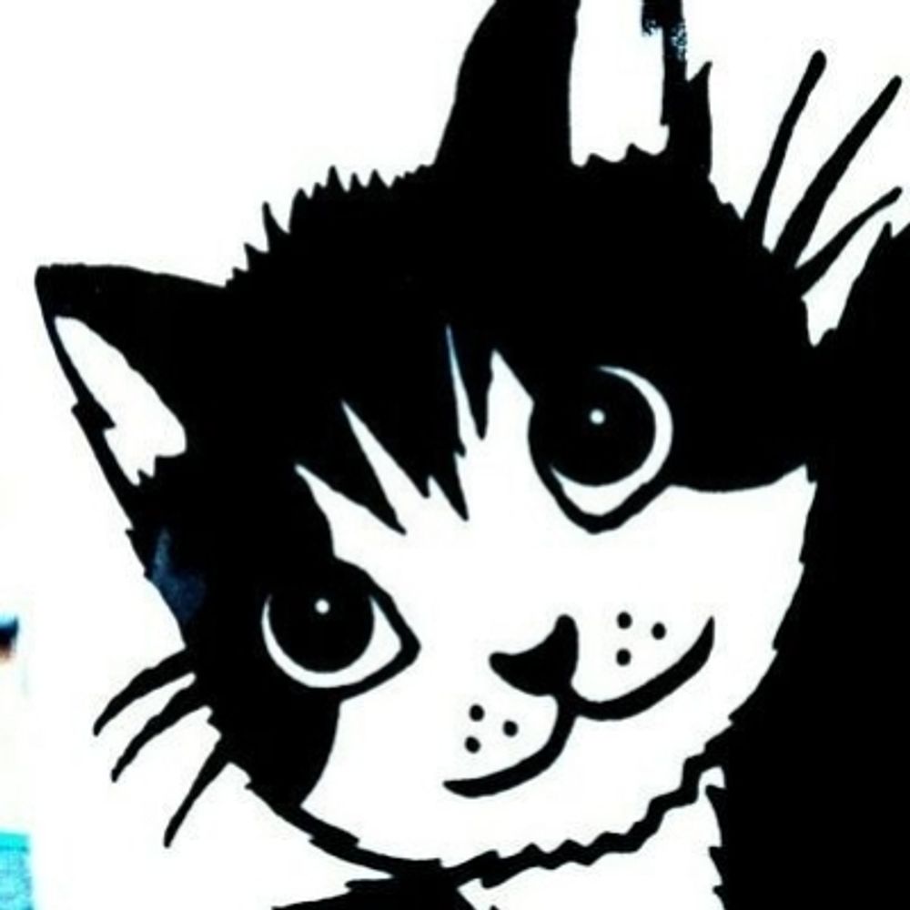 毎日がメイデック🐱🐱🐱