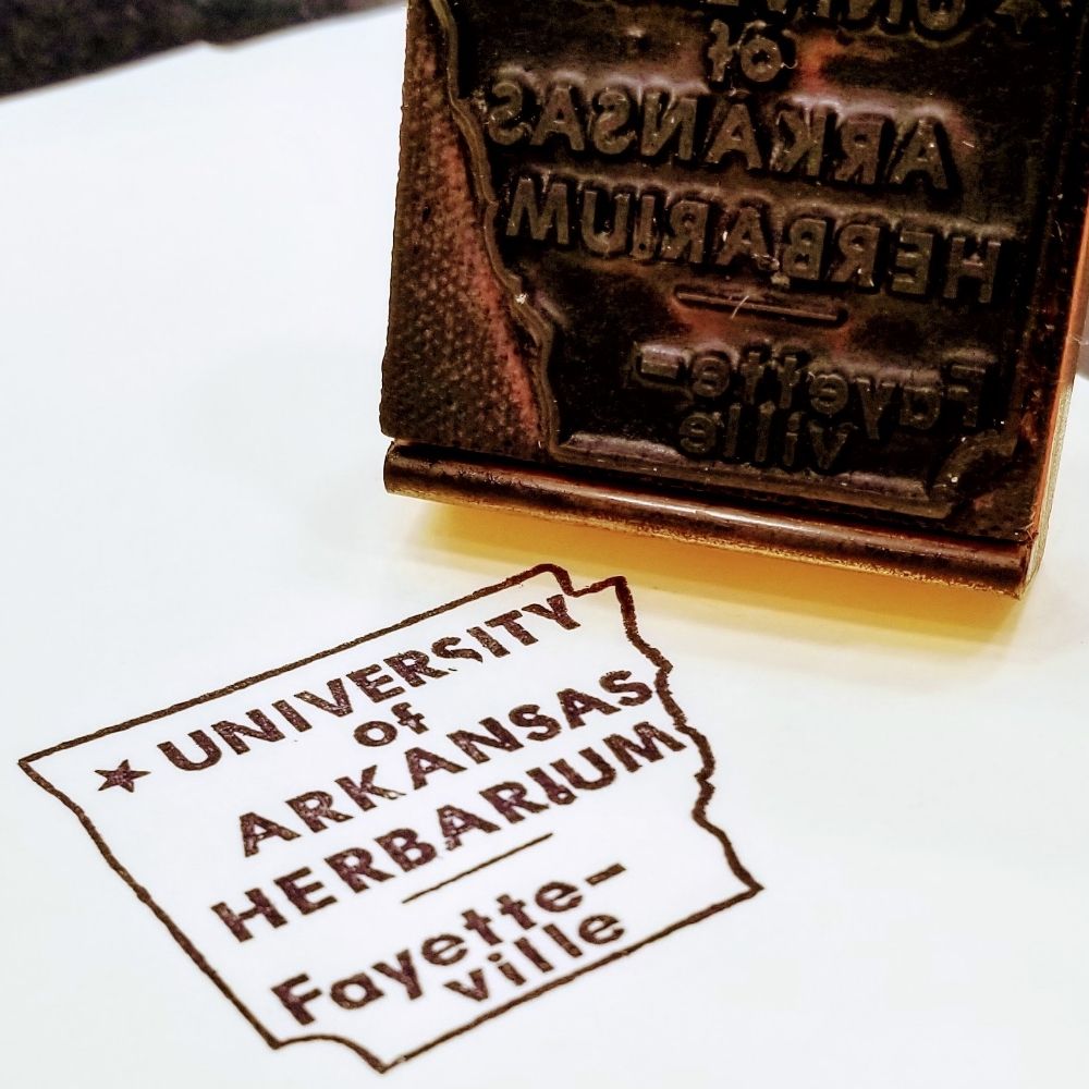 University of Arkansas Herbarium (UARK)