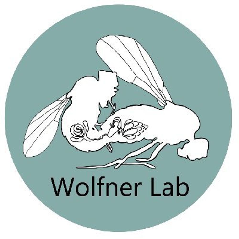 Mariana Wolfner Lab