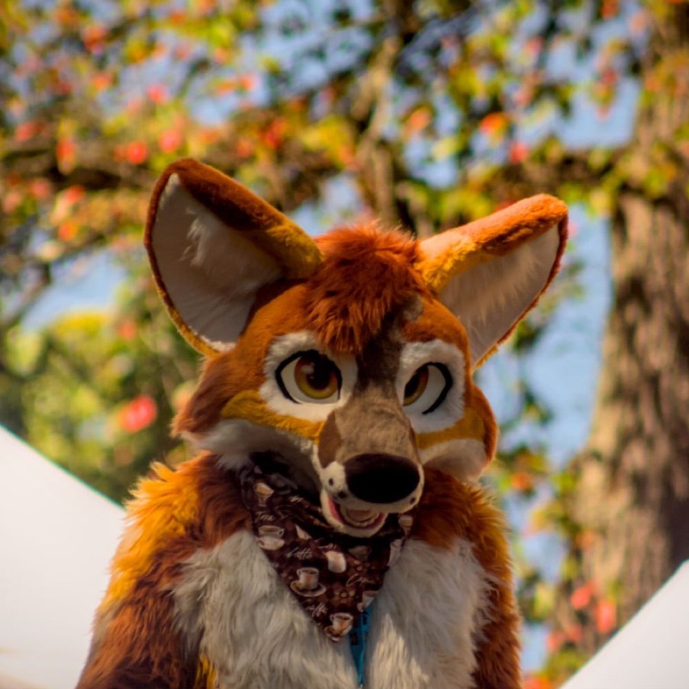 Conrad TheFox