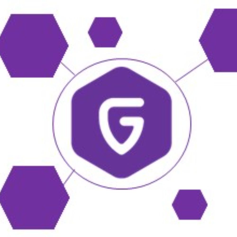 Geovistory
