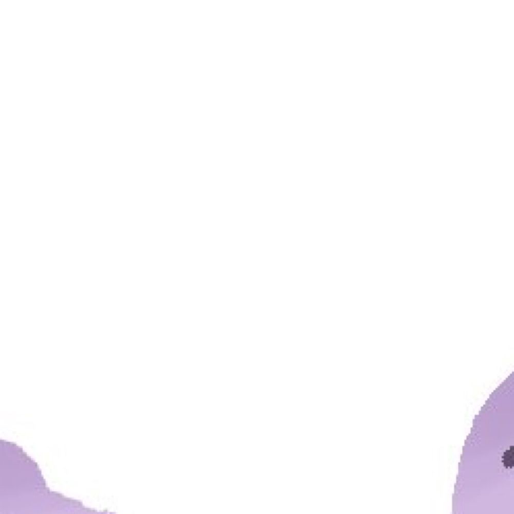 ✨️