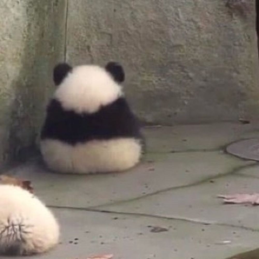 おにぎり🐼
