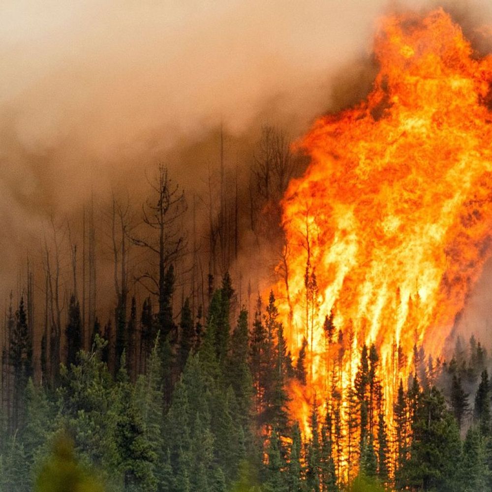 BC Wildfire Alerts Bot