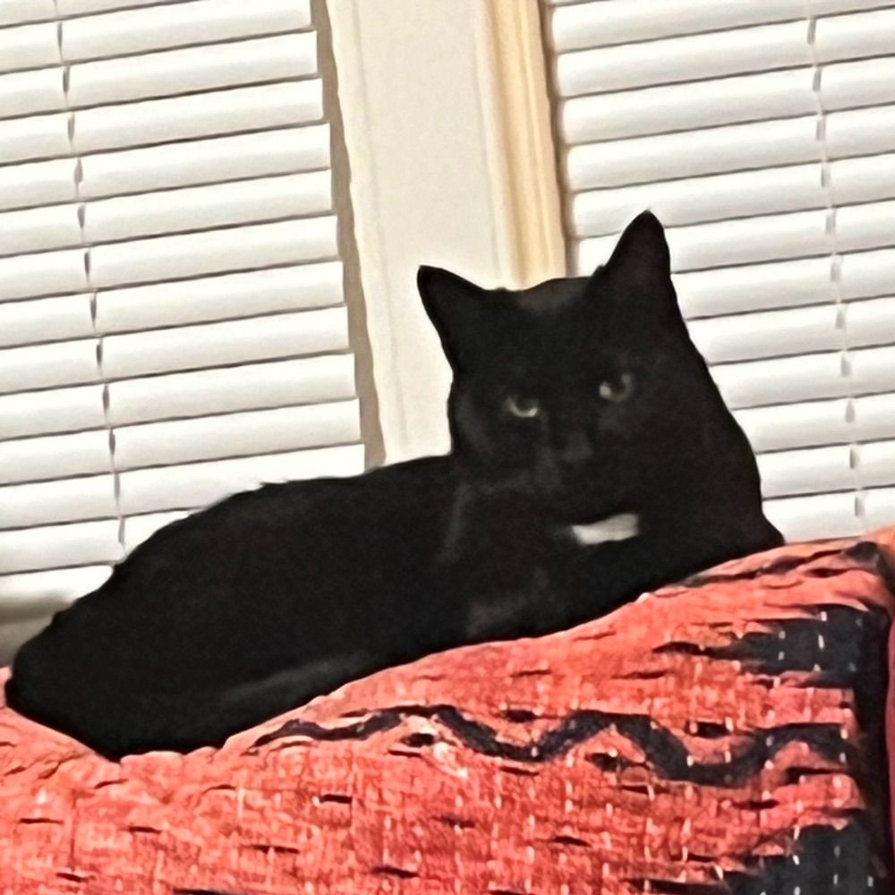 Francine Kafka