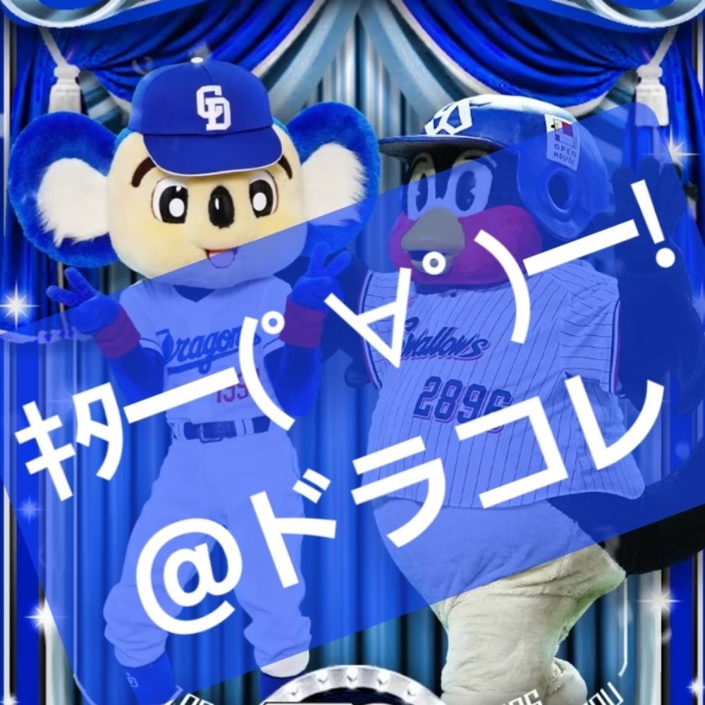 ちゃぼ どらぷー