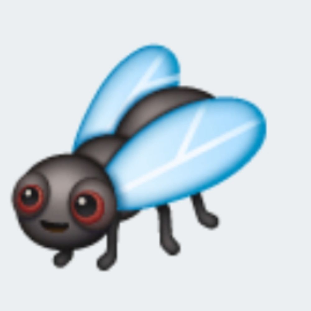 Leamfie