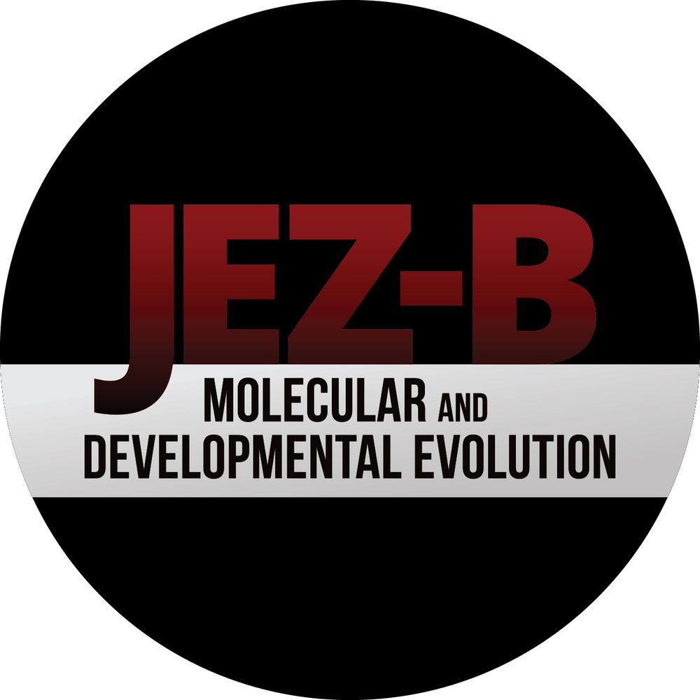 JEZ-B: Molecular and Developmental Evolution