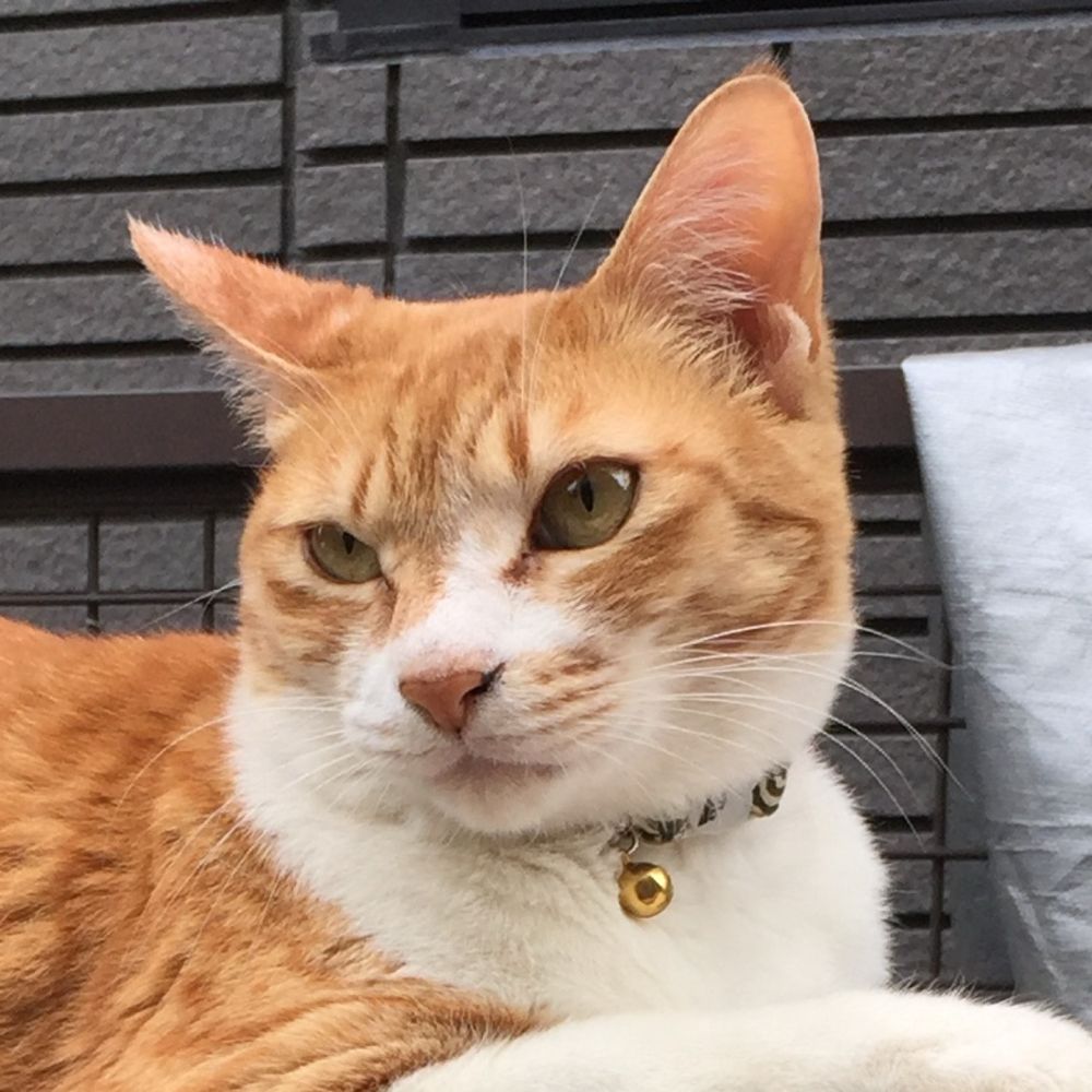 あつし