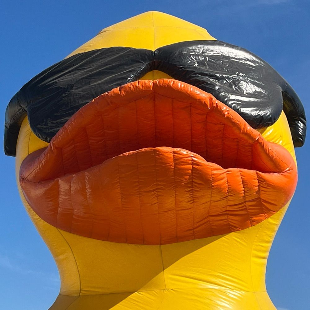 Quack Beets