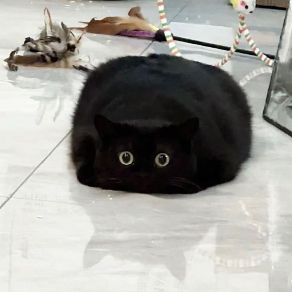 zhugewest