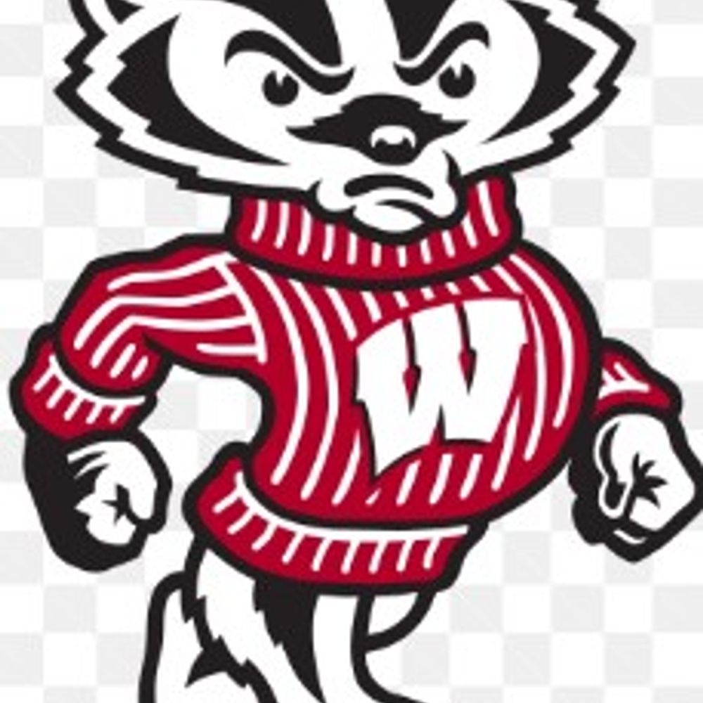 BayStateBadger