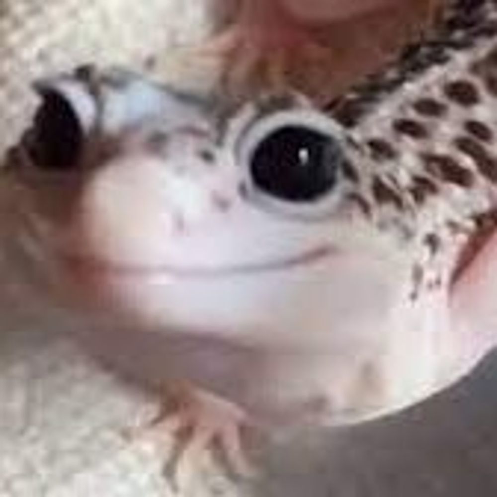 lucasᶜʳᶠ