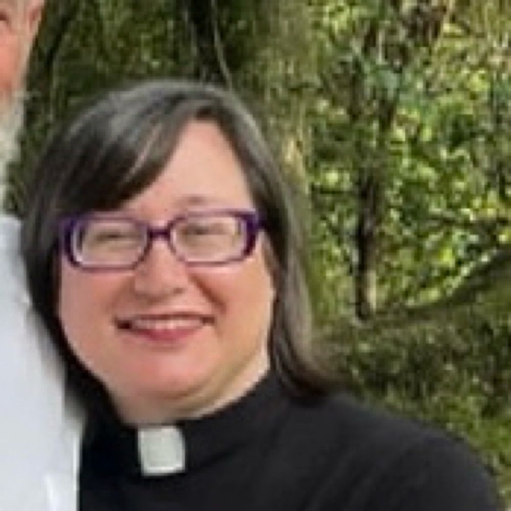 The Political Pastor