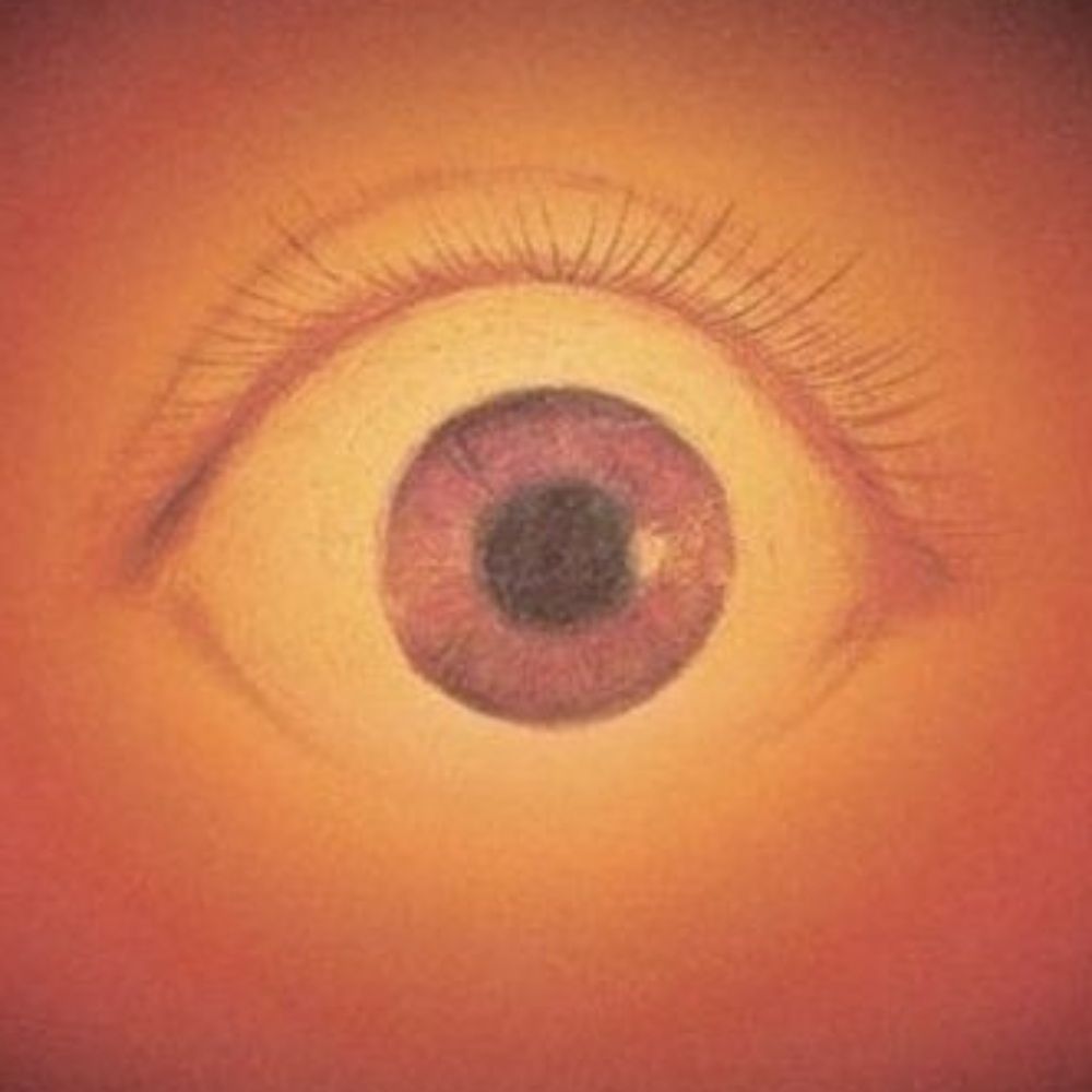 Luci