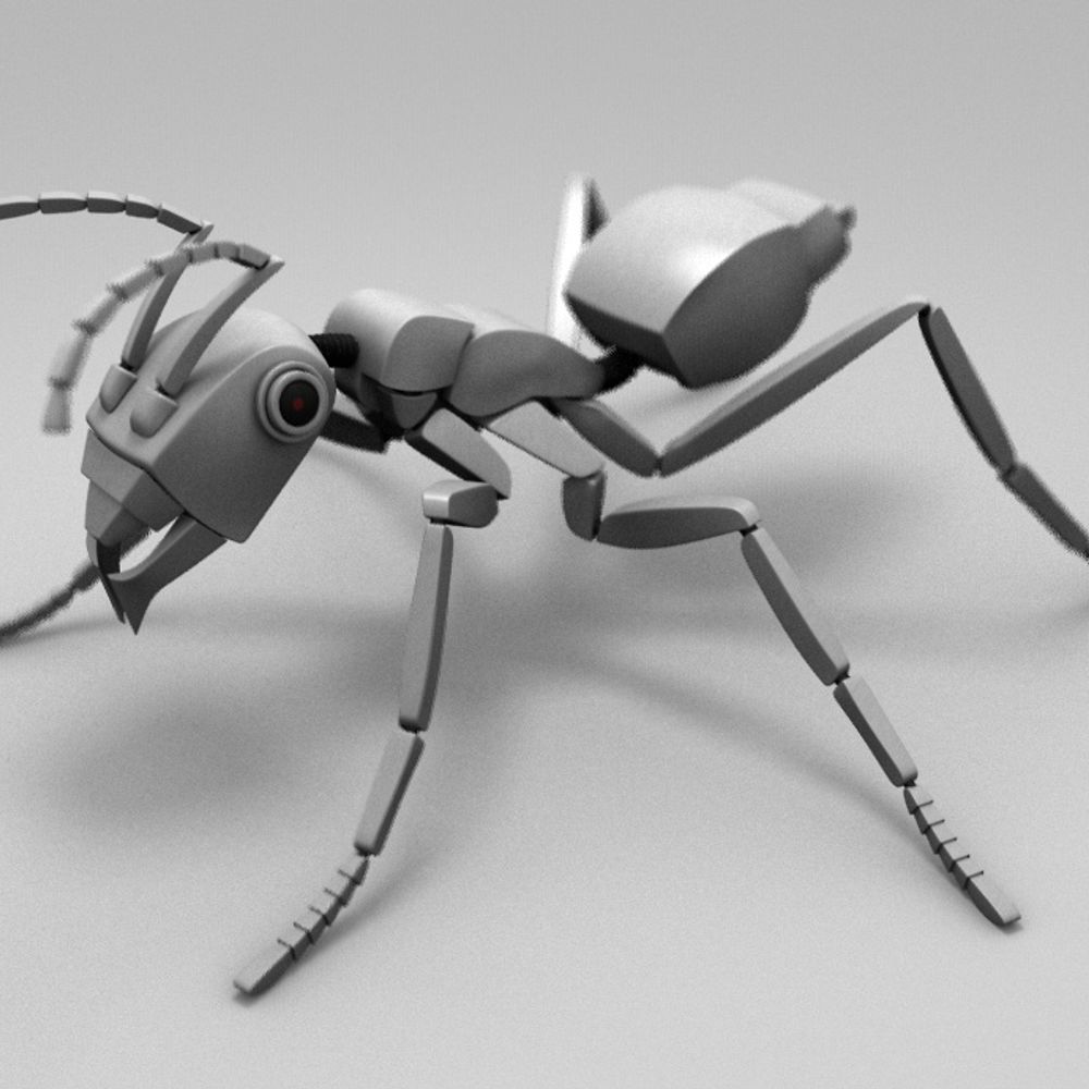 ant