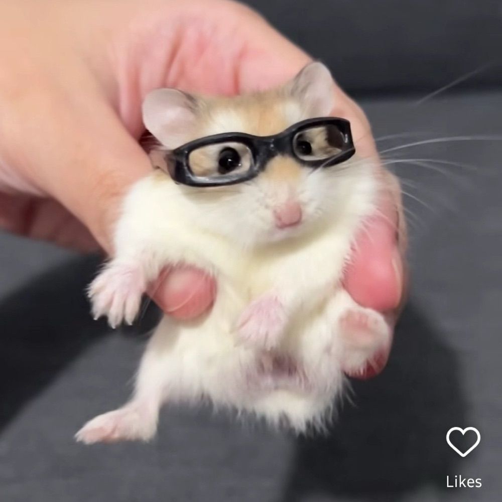 eppy