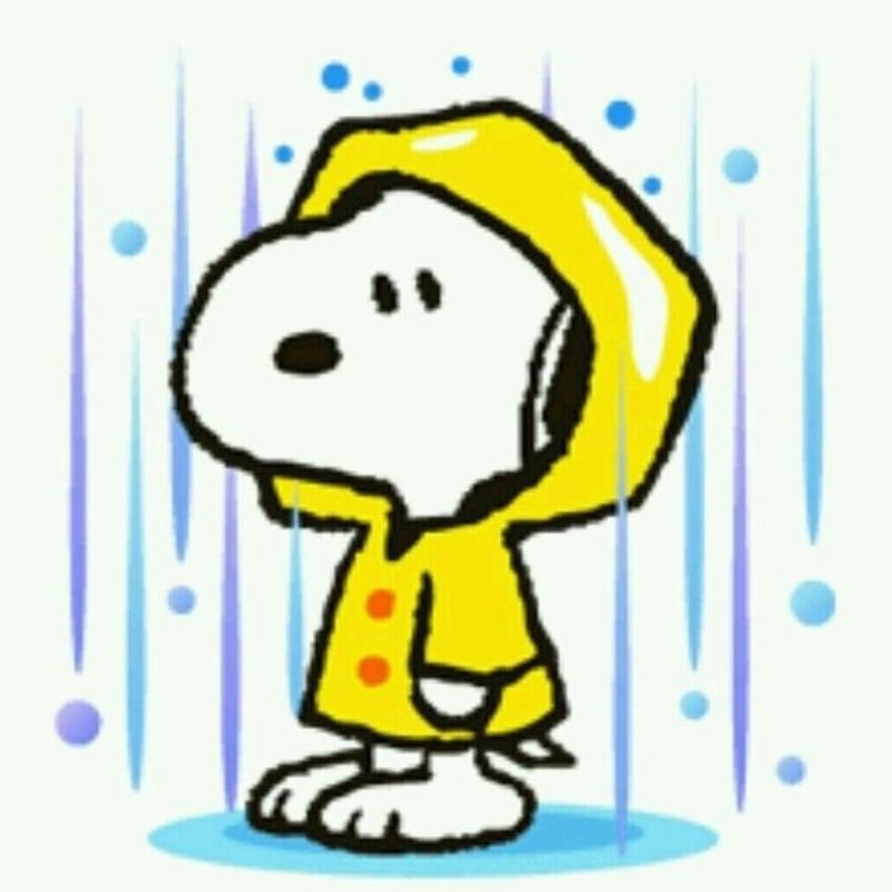 Chip U^ェ^U