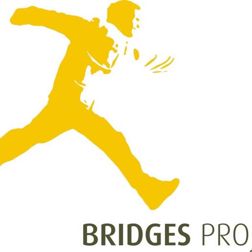 Bridges Project