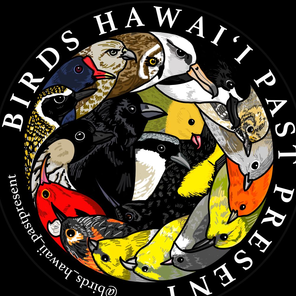 Birdshawaiipastpresent