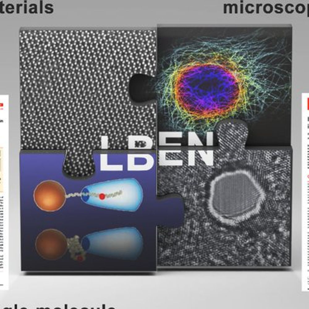 Radenovic Lab