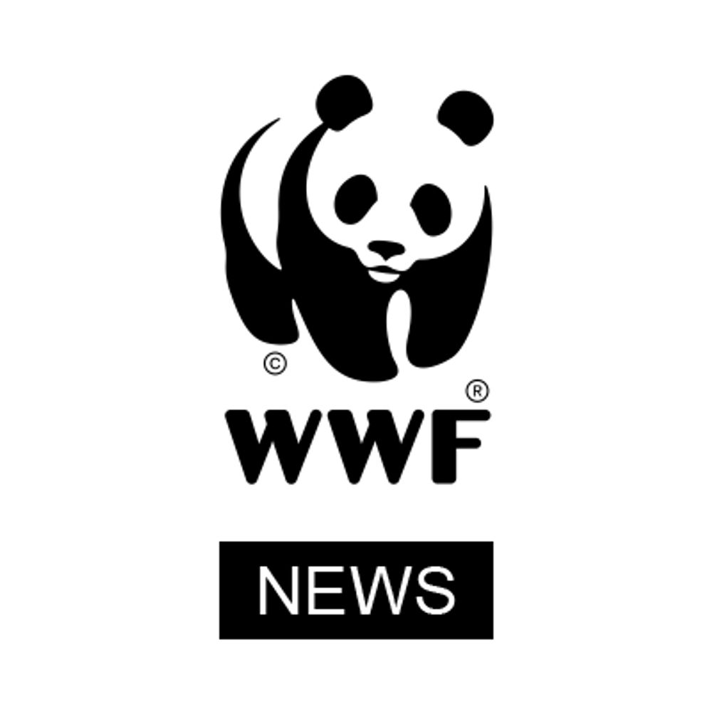 WWF Media Team 