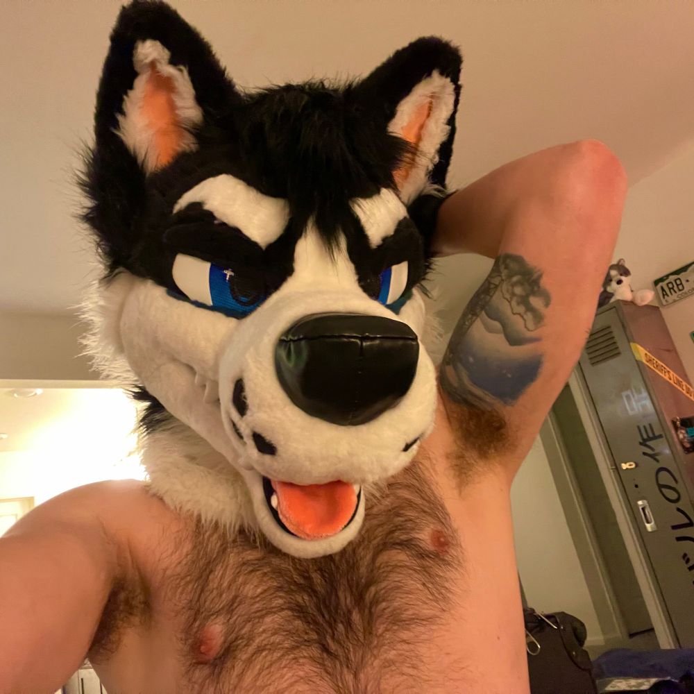 tuxxx 🔜 FD, DENFUR