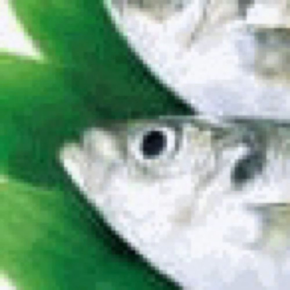 aji