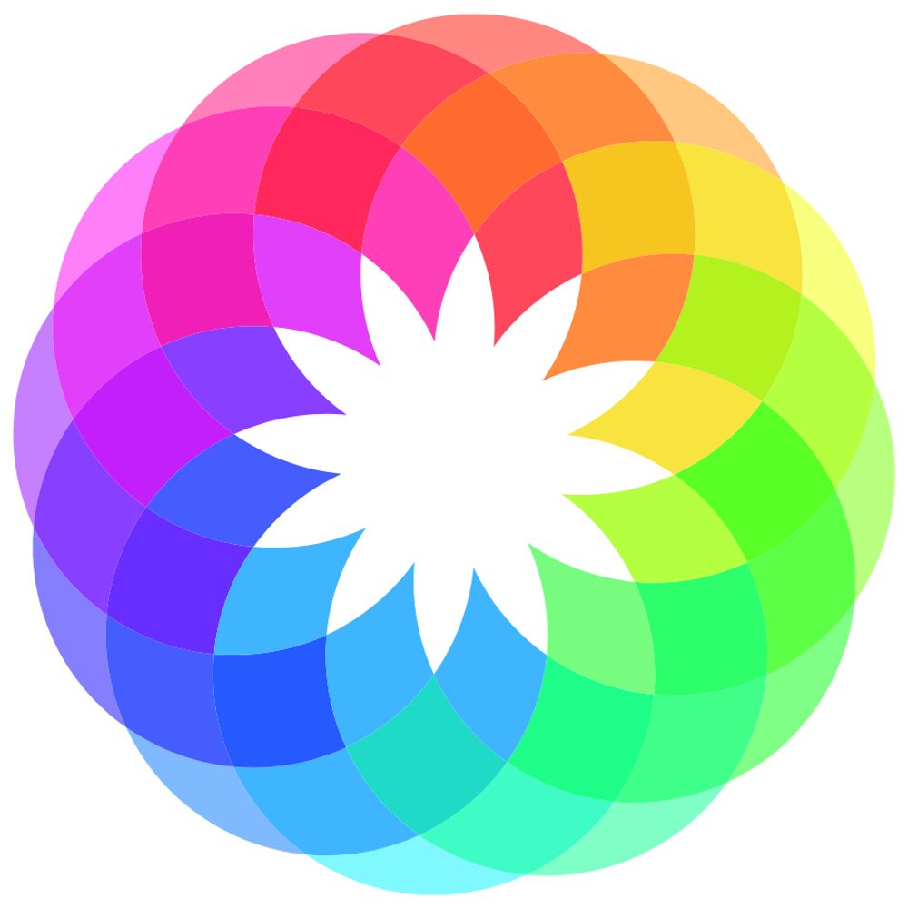 Kim • CHROMA coaching