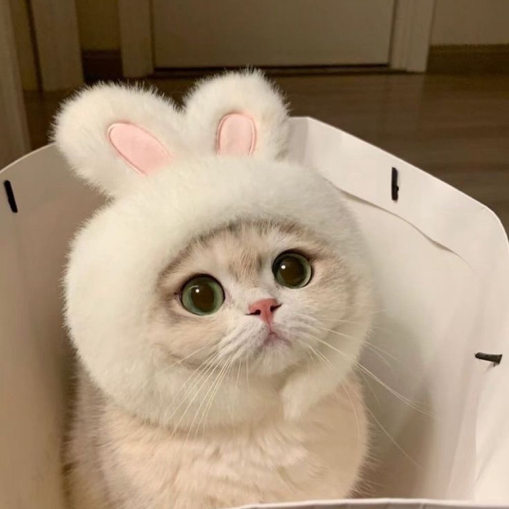 미녕