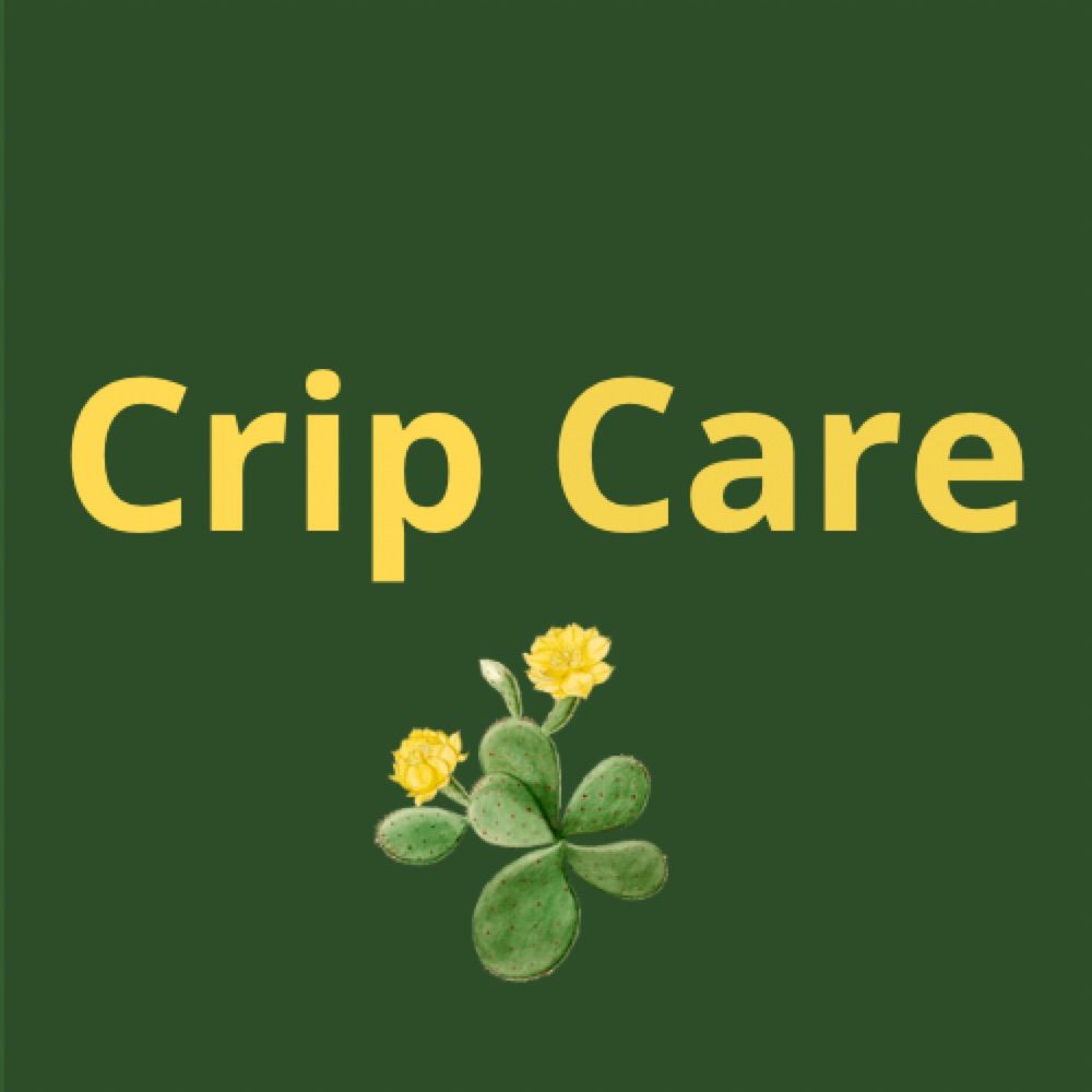 Crip Care: A Radical Disability Justice Project