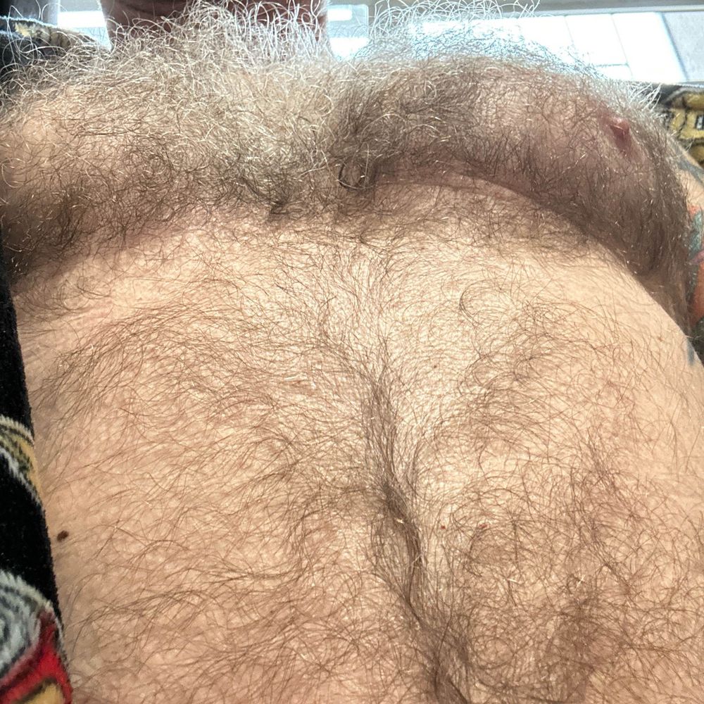 Voyeur bear