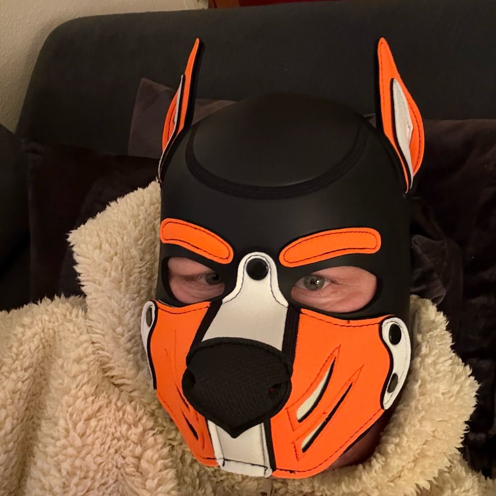Pup_Skippy_CGN