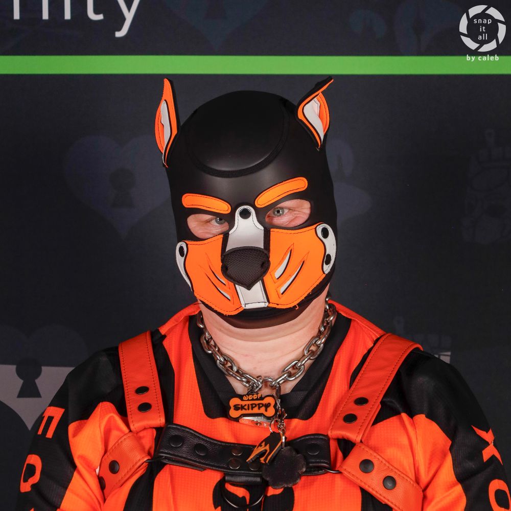 Pup_Skippy_CGN