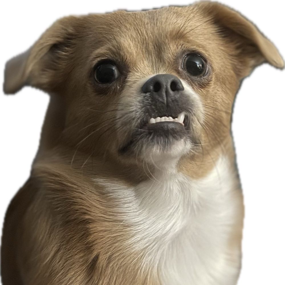 Frank