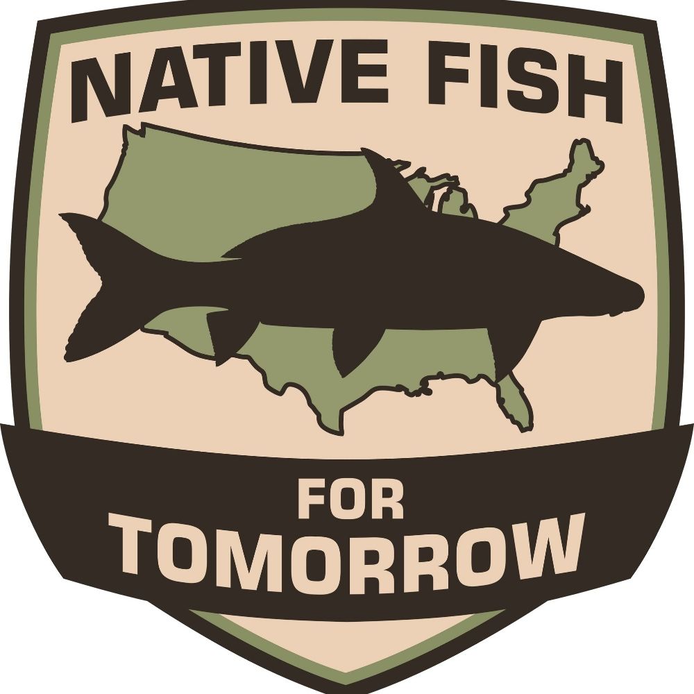 Native Fish For Tomorrow