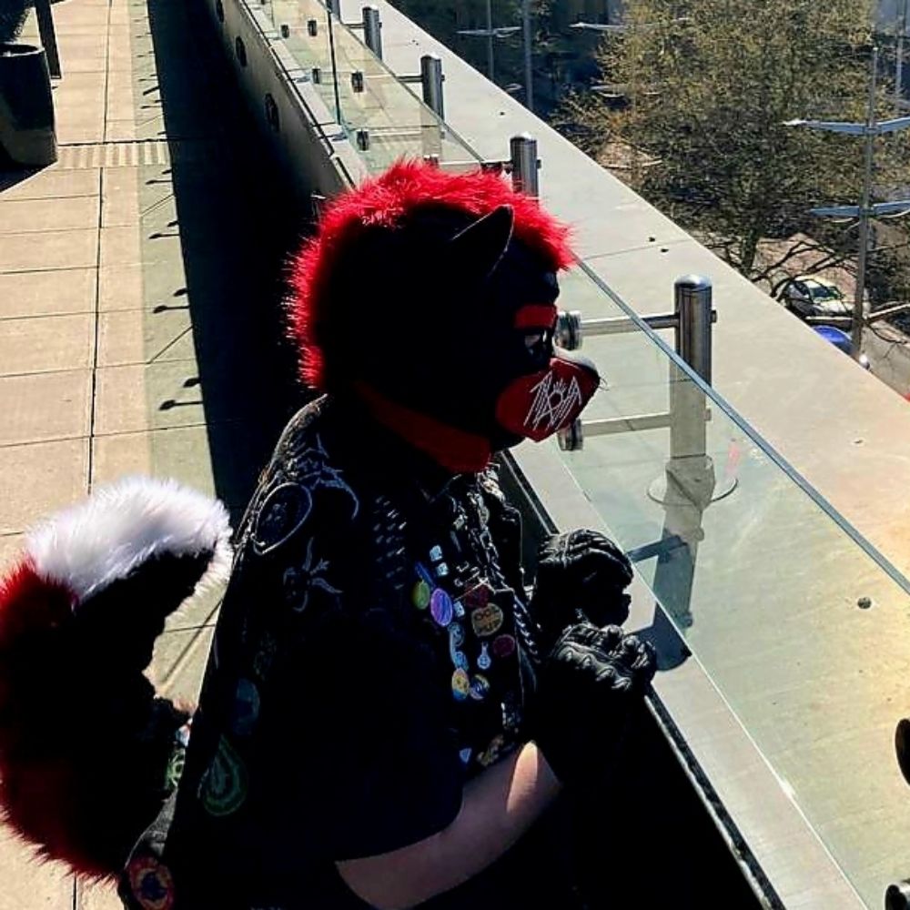 🦐 Jackal is AFK 🏳️‍🌈🔞💀🧼