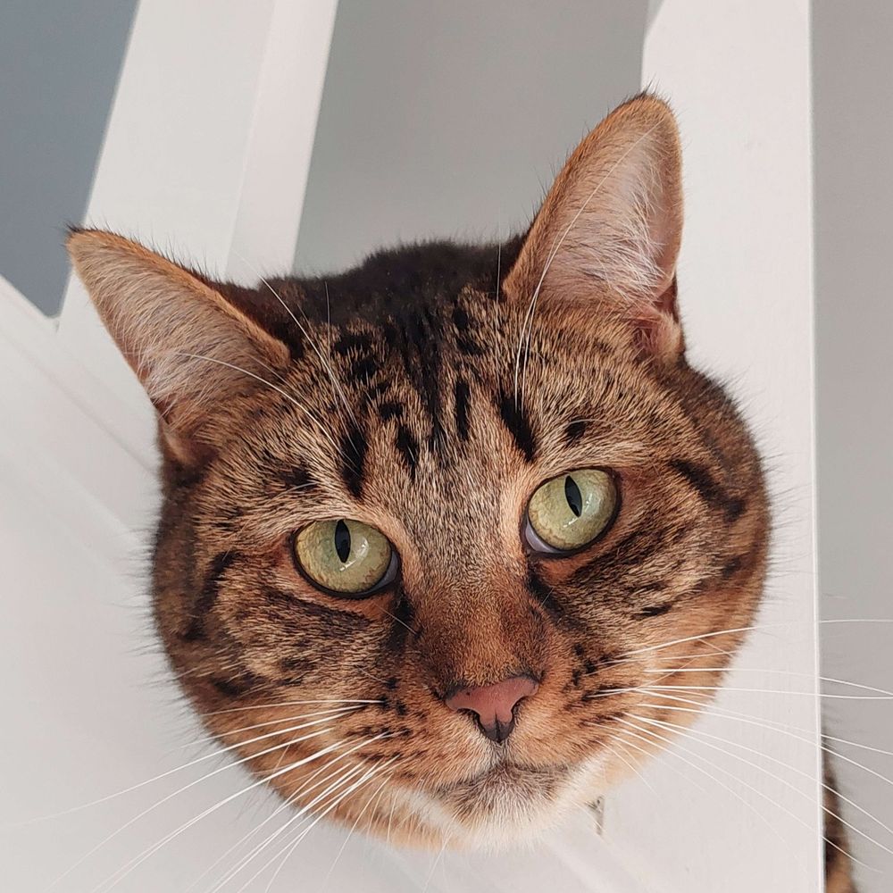 Freya