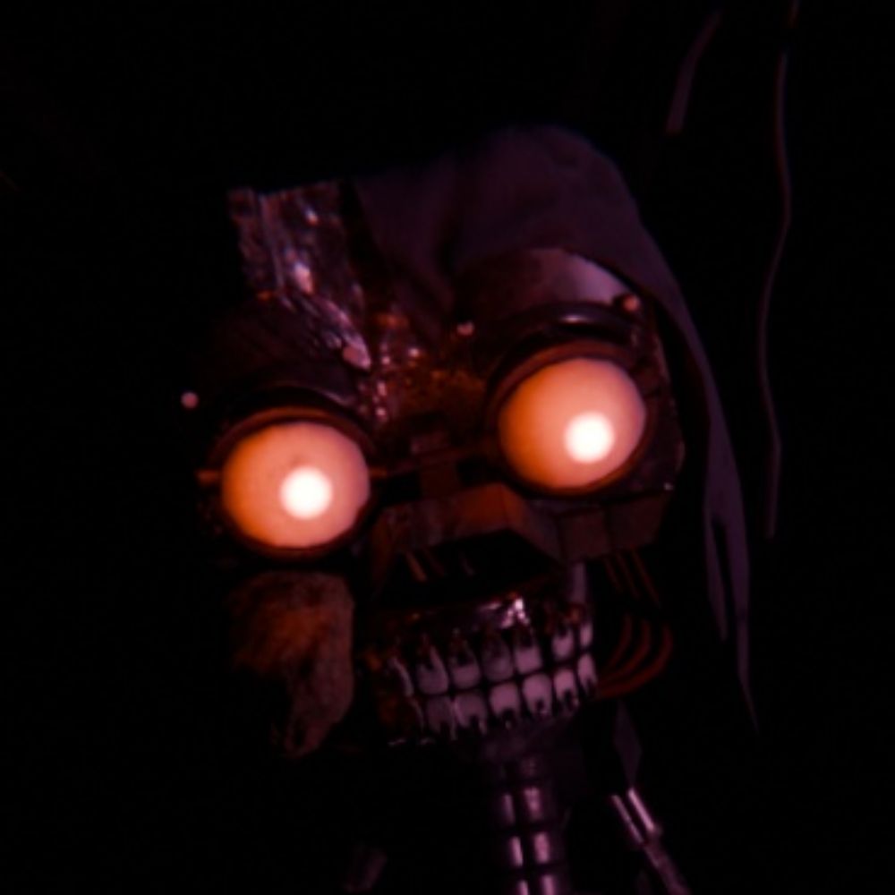The Mimic